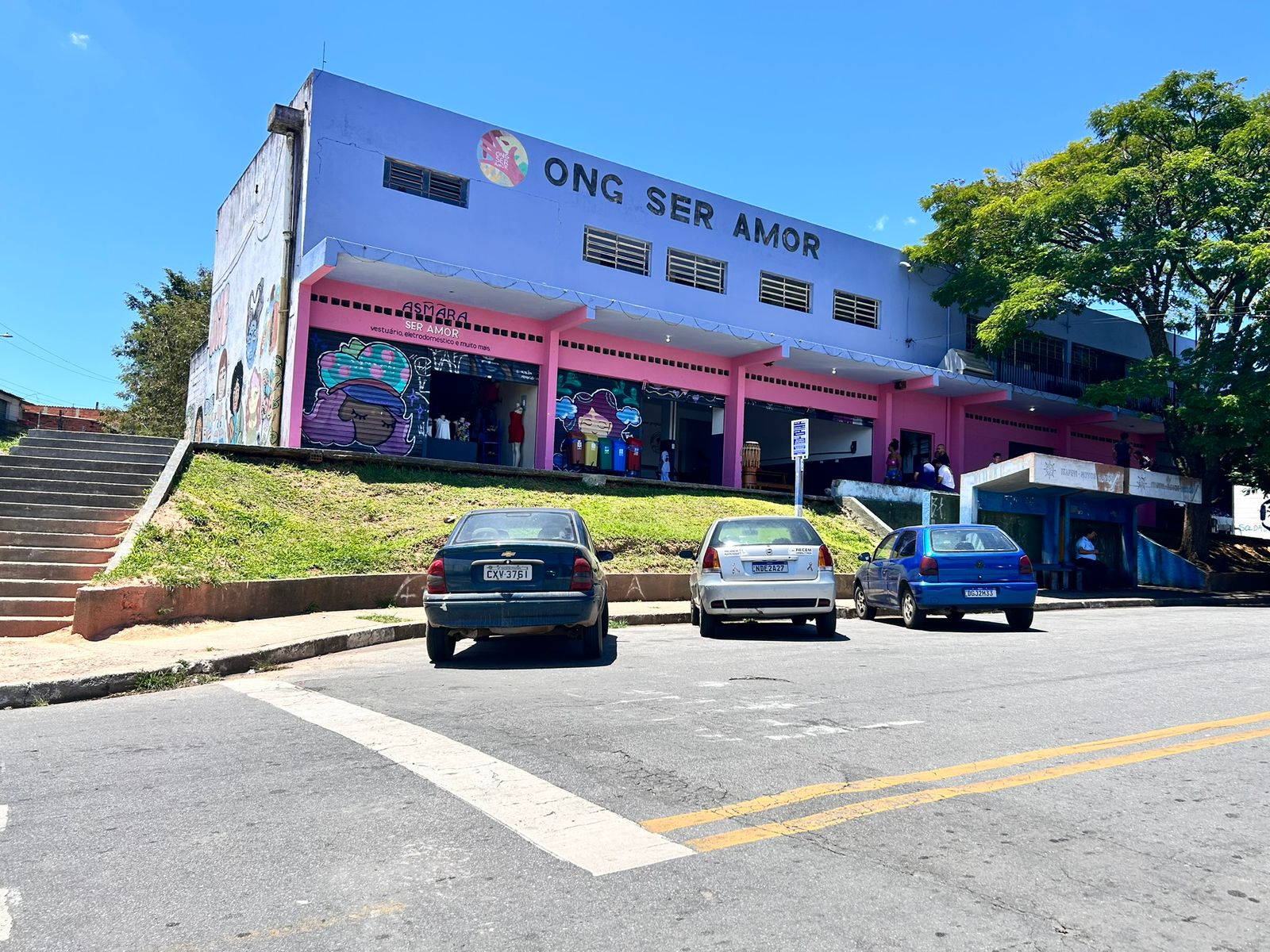 Imagem da ONG Ser Amor